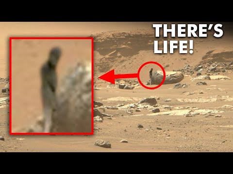 Perseverance Rover Sent Latest SHOCKING Images of Martian Life