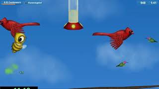 Tasty Planet Forever - Bee% 36:12.83