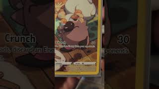 Rockruff Trainer Gallery Holofoil TG07/TG30 #pokemon