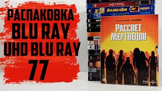 :  Blu ray / 4K UHD Blu ray #77