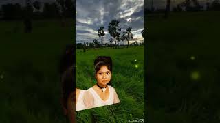 ព្រោះរឿងអ្វី ច្រៀងដោយ #រស់សេរីសុទ្ធា