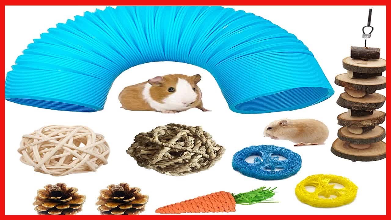 Hamster Fun Tunnel Toy Set - Foldable Plastic Tube With Chew Toys For Guinea Pigs, Gerbils, Rats, Mice