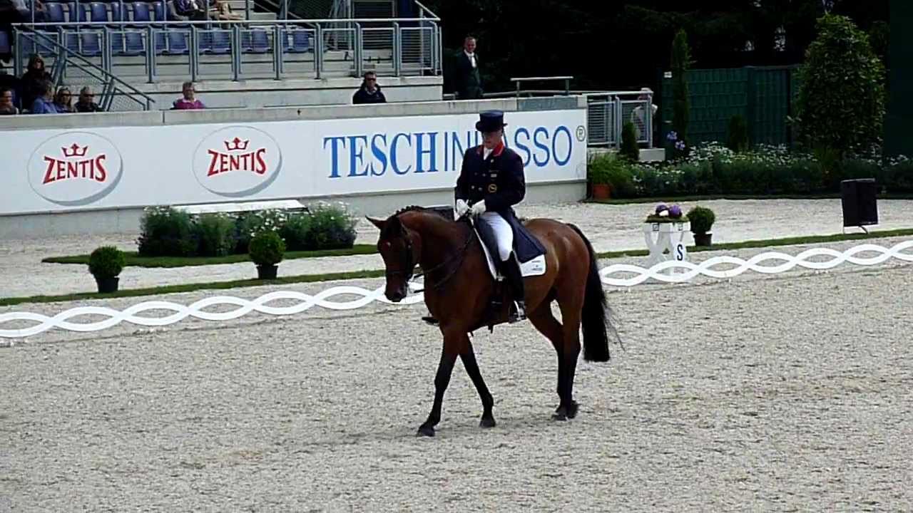 CHIO Aachen 2011 - Grand Prix Special - Richard Davison