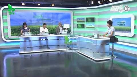 Nguyên nhân khi cá chết có nhiều tật màu trắng