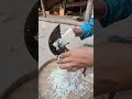 গ্রামের বধূরা কত নিখুঁত ভাবে সবজি কাটে #cabbage_cutting