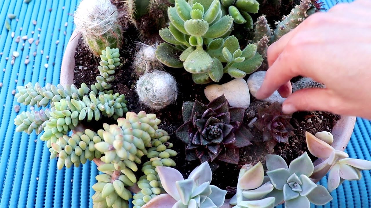 Casa E Giardino ConMe Bellissima E Facile Composizione YouTube