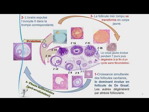 الوطنية التربوية - جميع الشعب - علوم الحياة والارض