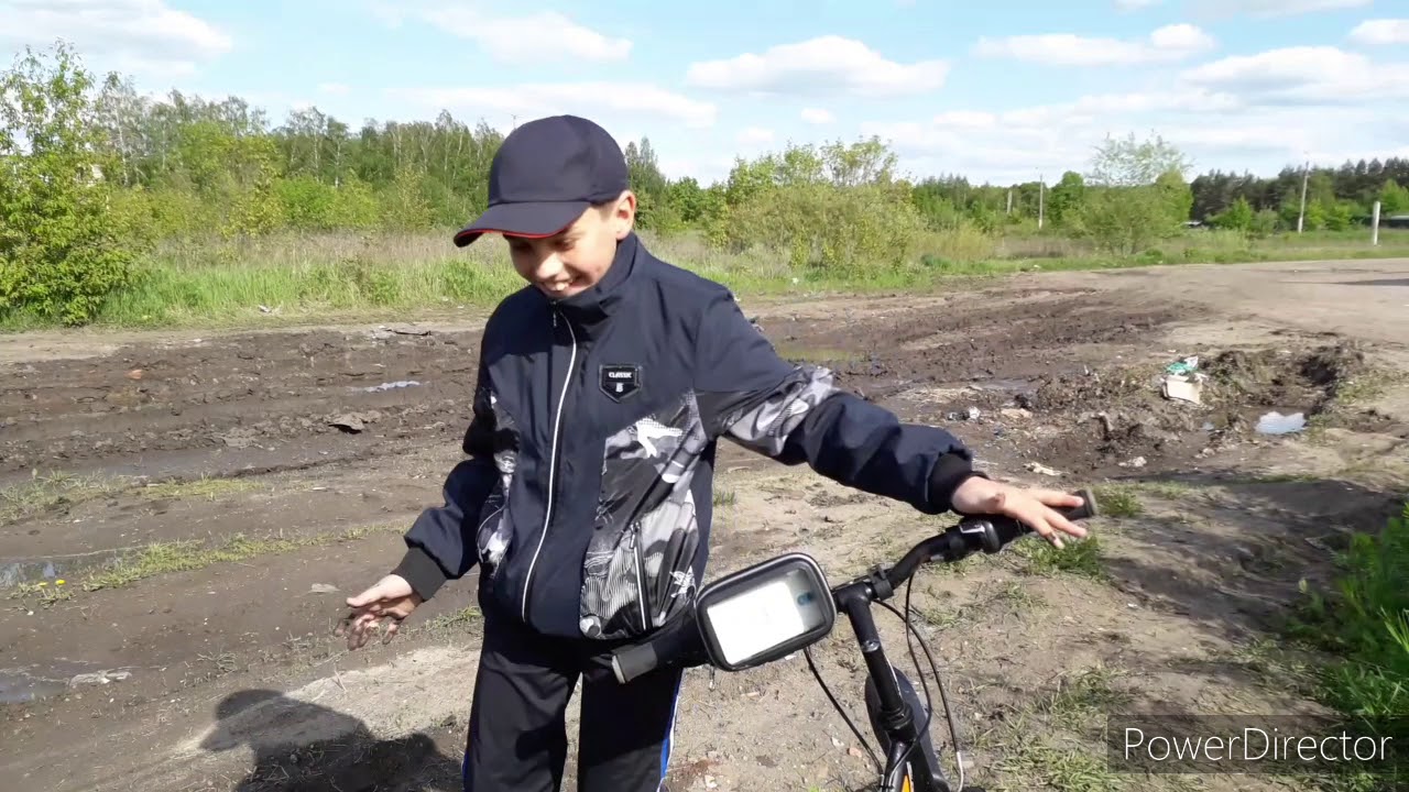 Птичье говно разъело краску