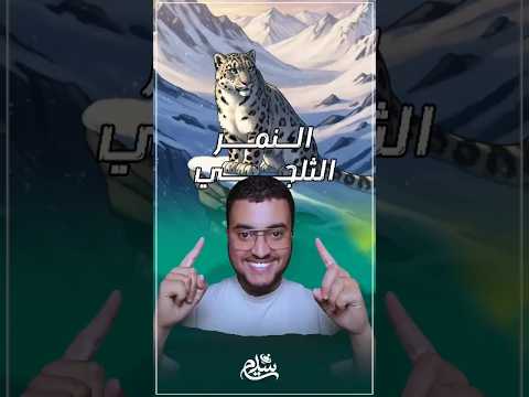 النمر الثلجي نمر ثلج حيوانات