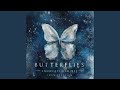 Butterflies Nighthawk Remix