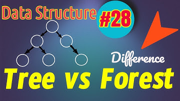 Data Structure Tutorial #28:  Tree vs Forest