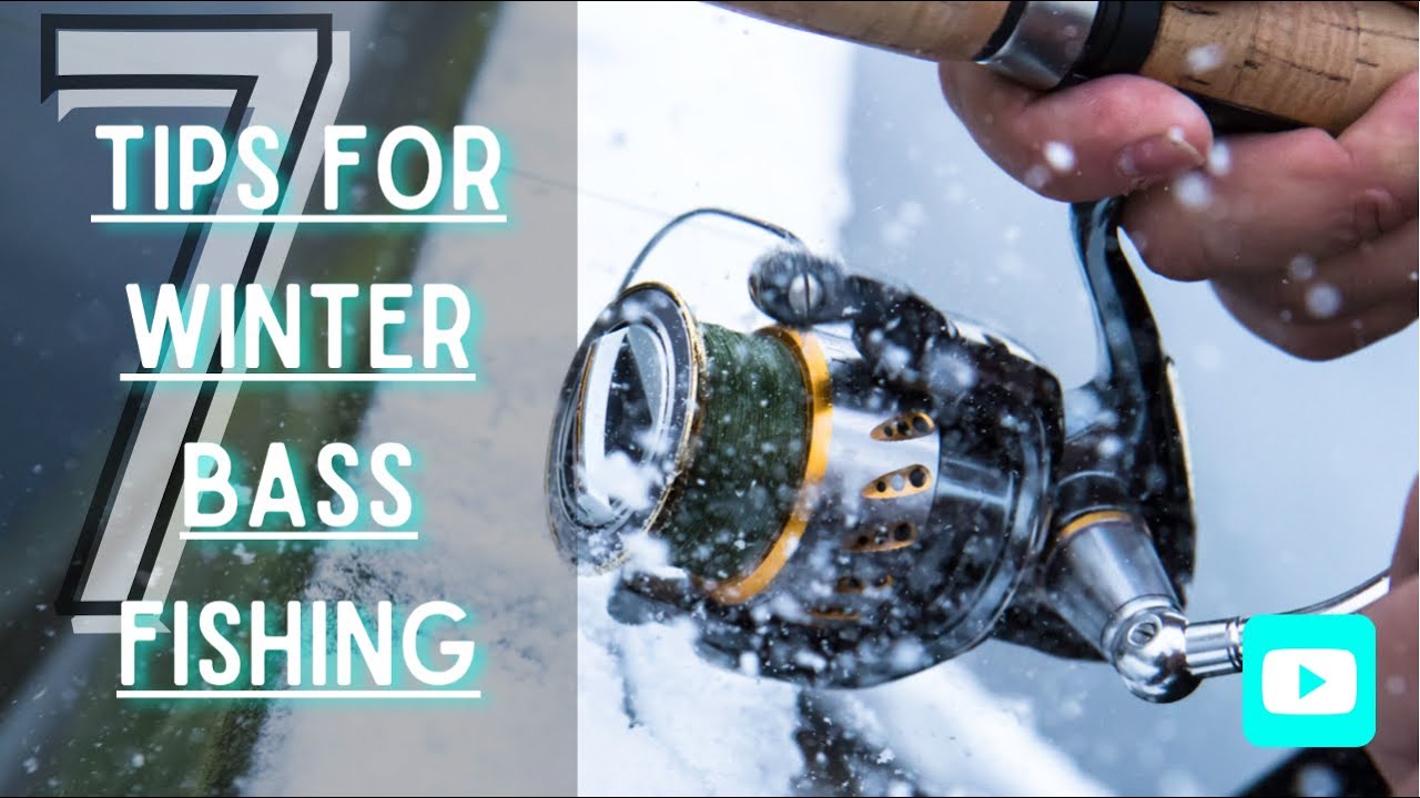 7 Tips For Winter Bass Fishing From The Bank - Full Beginner's