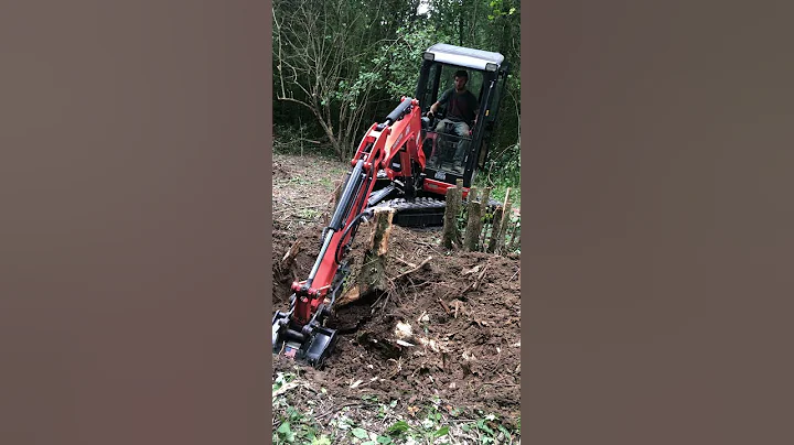 Jarett Removing Stumps with Mini Excavator