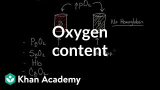 Oxygen content | Human anatomy and physiology | Health & Medicine | Khan Academy screenshot 3