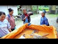 [TIMELAPSE] Amazing Fishing Technique Using Stones in the Stream / Harvesting A Lot Of Fish