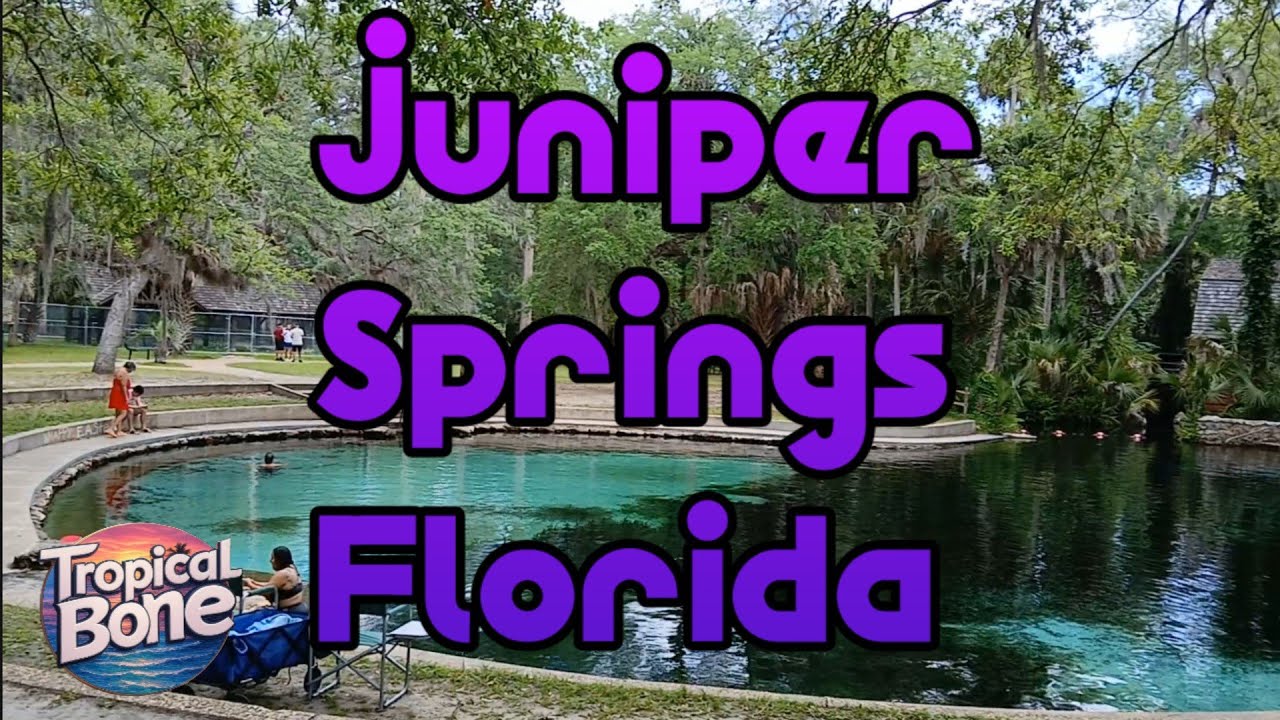 Juniper Springs Florida