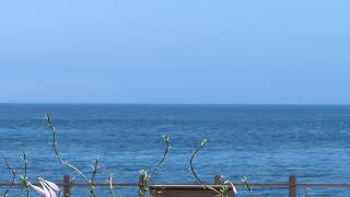 a flood of affection | Warm, Bright Piano Music For Summer