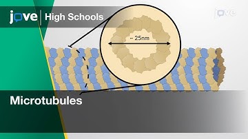 Microtubules | Cell Bio | Video Textbooks - Preview