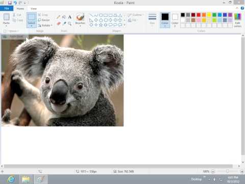 Windows 8.0 Professional - Insert a Bitmap into the Current Picture