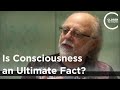 Fred Alan Wolf - Is Consciousness an Ultimate Fact?