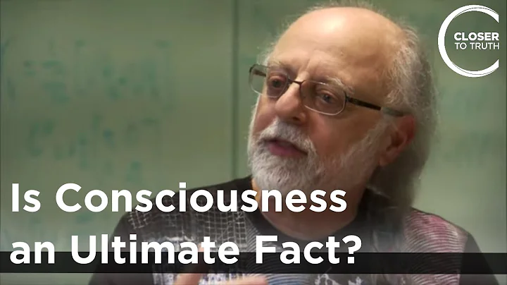 Fred Alan Wolf - Is Consciousness an Ultimate Fact?