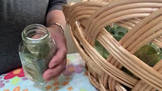 How To Make Organic Bay Leaves For Food Flavoring