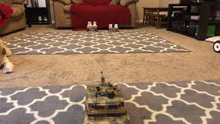 RC model tank Huanqi 781-10 - Control test and firing abilities- RC Cincy