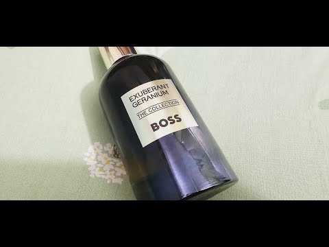 Hugo Boss The Collection Exuberant Geranium Review (2025)