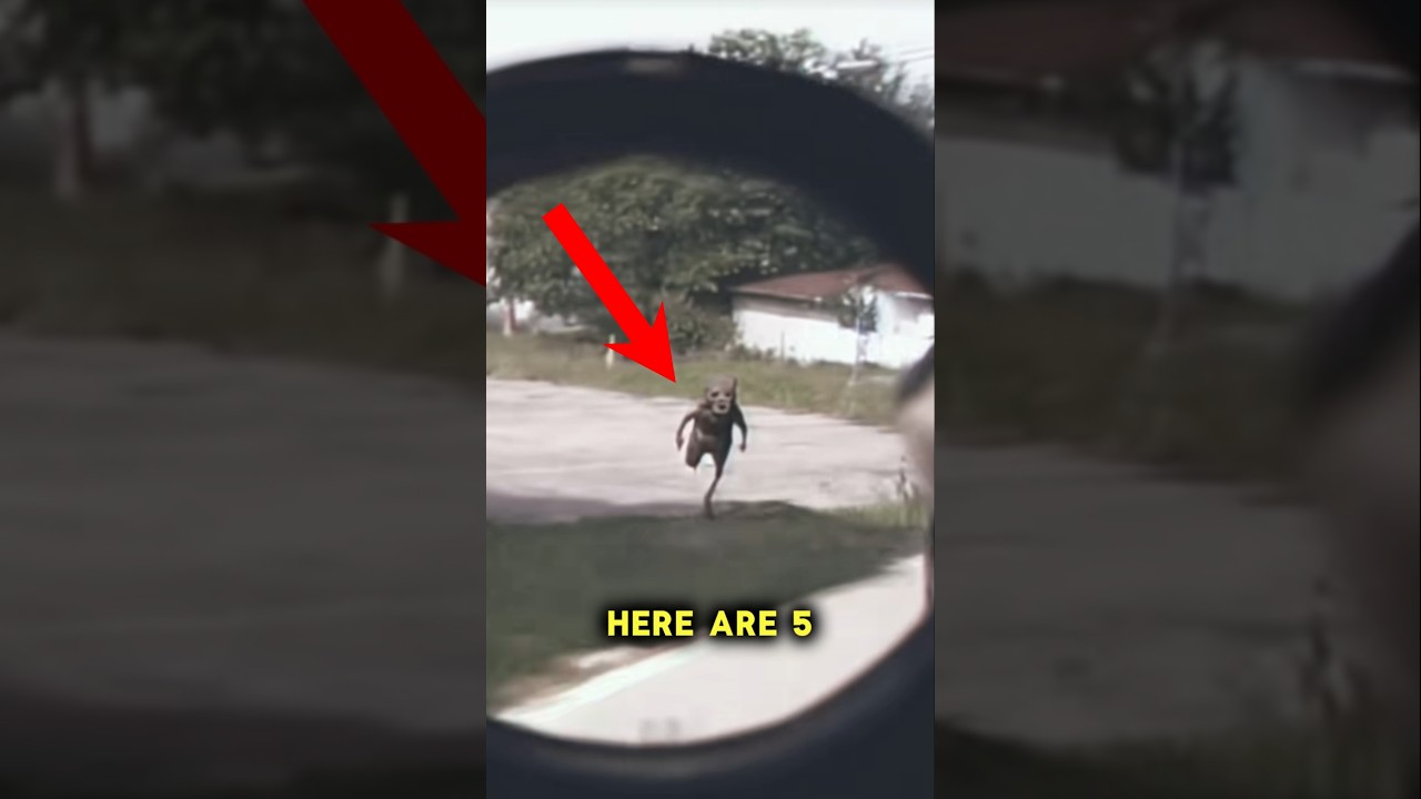 Scariest Videos Of The Year???? 
