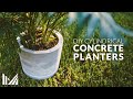 How to Make DIY Concrete Planters and Drip Trays