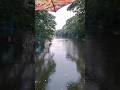 "lovely rainy day "#fypシ゚viral #raining #walkingintherain #rainingday #nature #shortsyoutube