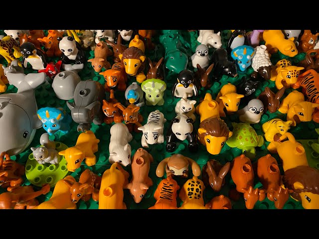 Duplo LEGO Animals ASMR - Part 1