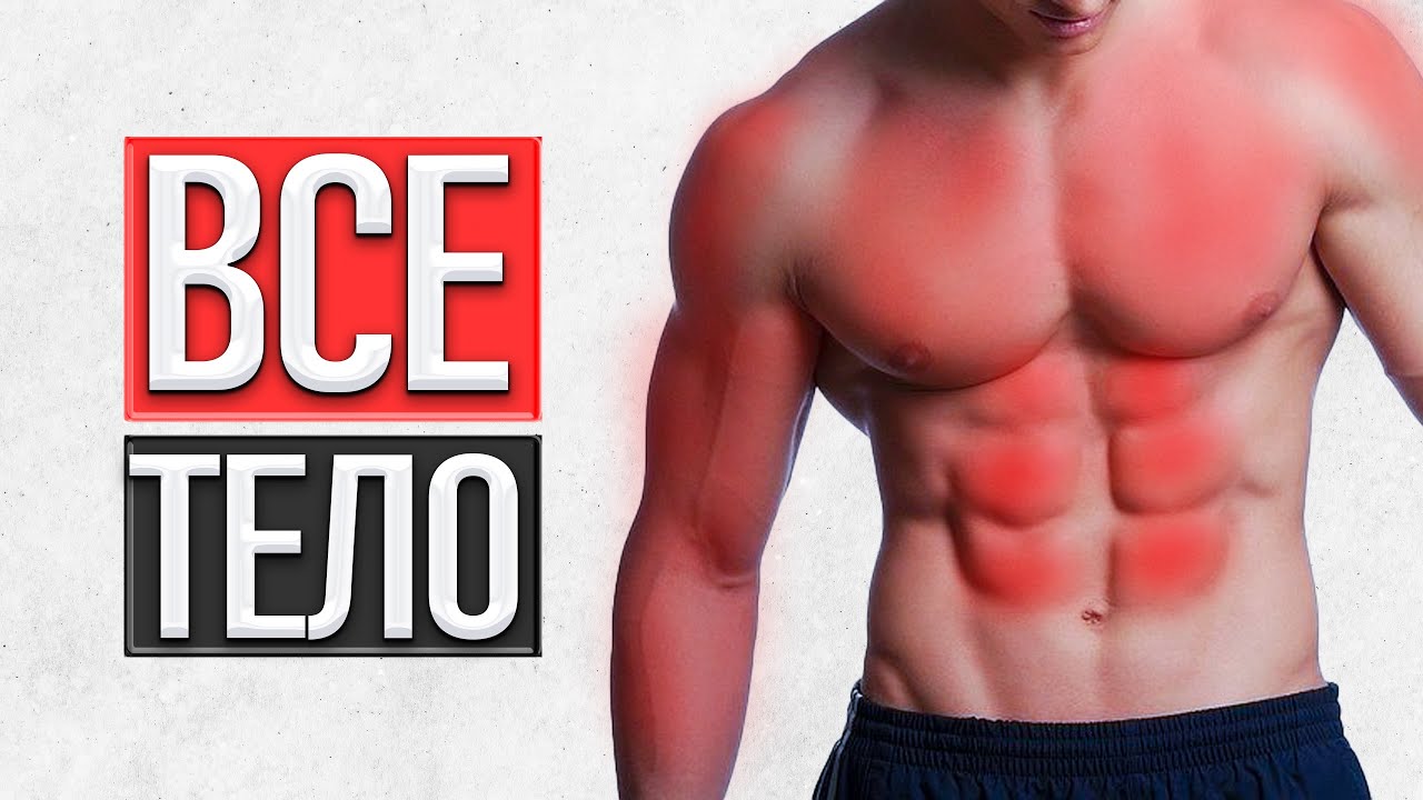 �������� ZPHC ������: ����.