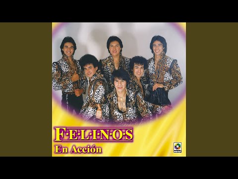 Cover Si Tú Tienes La Plata