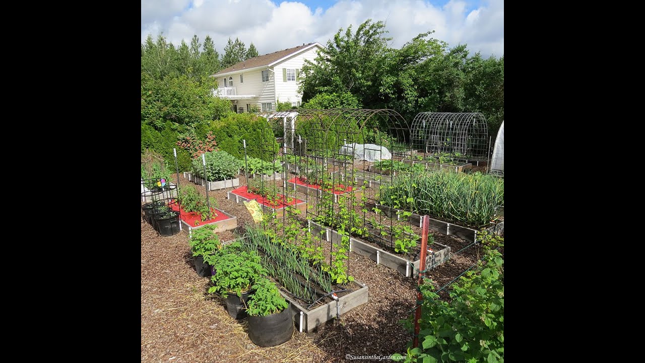 Plant Supports: Everyone Can Grow a Garden (2021) #18