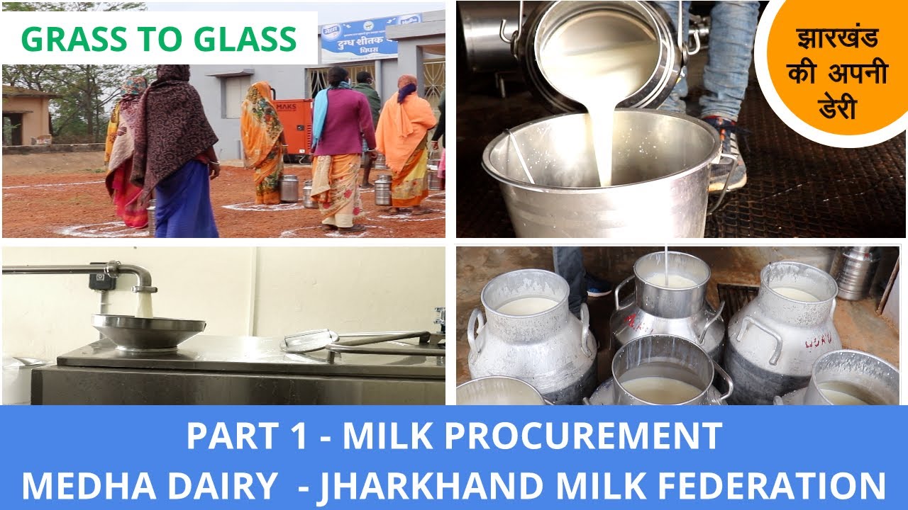 MILK PROCUREMENT Medha Dairy Jharkhand Milk Federation YouTube