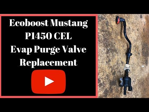 Ecoboost Mustang - P1450C Evap Purge Valve Replacement