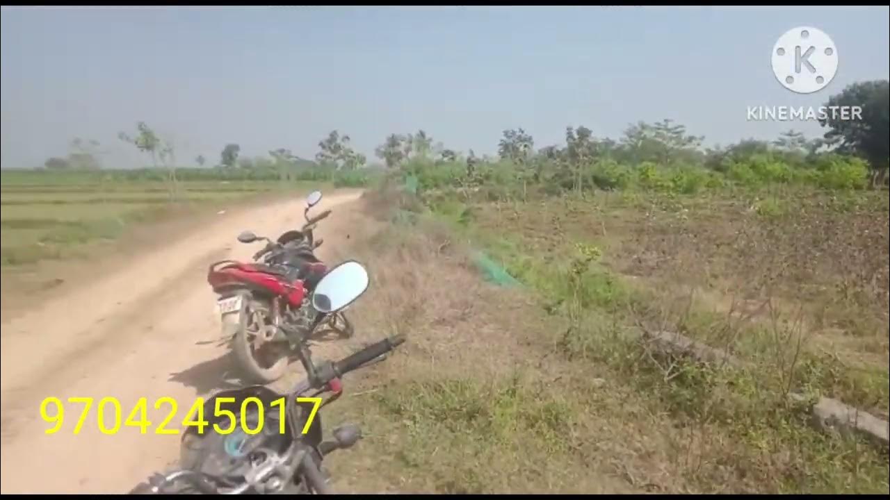 id407) Agriculture land for sale in warangal 14 guntas land