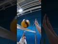 Volleyball Night: The Sanity is Officially Gone! #volley