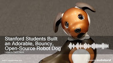 Stanford Students Built an Adorable, Bouncy, Open-Source Robot Dog