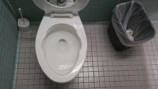 1988 American Standard Cadet toilet on a Flushometer with Bedpan Lugs