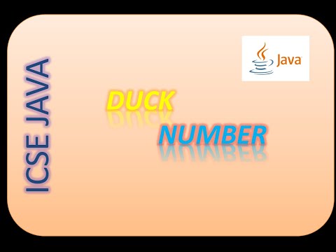 Duck no. in JAVA in Hindi | Duck number