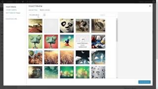 CODANGY Wordpress Theme - add Gallery Post Format