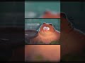 The Garfield Movie