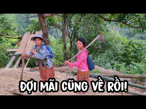 Video Cuối cùng Vợ em Vần 2 con đã về sau khi bỏ 2 con ở nhà... - youtube