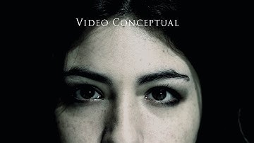 Conceptual Video