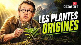 Comment les plantes sont apparues sur Terre ? - C'est pas sorcier