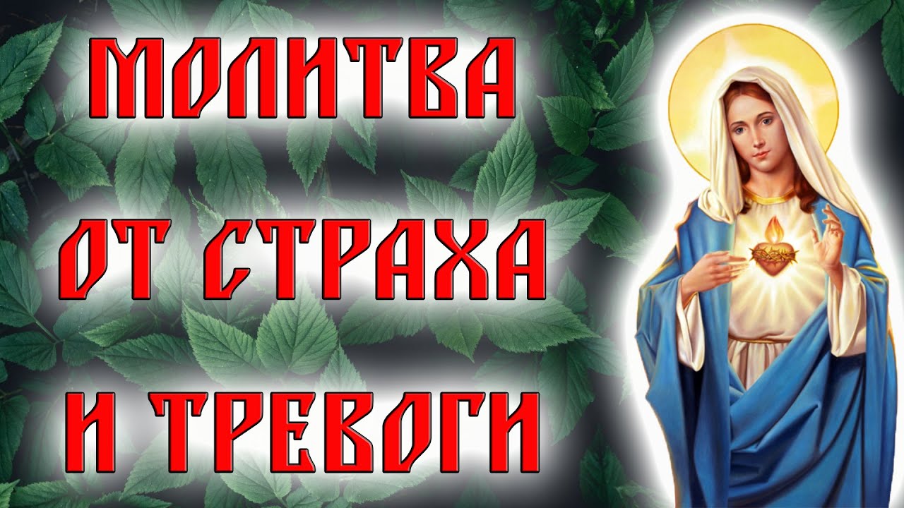 Молитвы от страха и тревоги. Успение пресвятой богородицы. Молитва Господня.