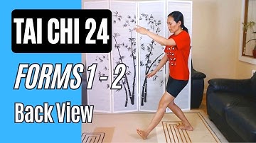 Tai Chi 24 Forms 1-2 Back View: Starting & Part the Wild Horse
