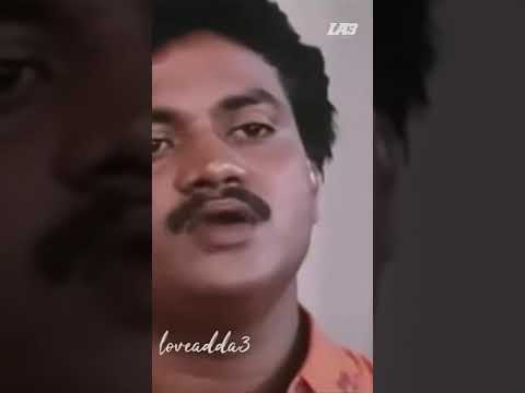 funny short 